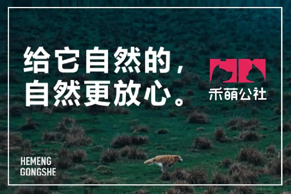 从“一次交易”到“陪伴左右”：禾萌公社重构社区宠物服务生态